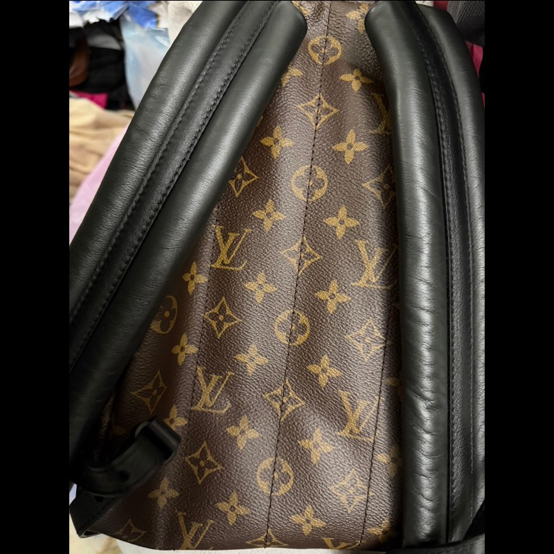 LOUIS VUITTON PalmSprings小書包小號老花肩背包-1