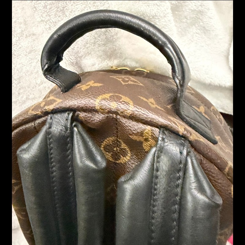 LOUIS VUITTON PalmSprings小書包小號老花肩背包-7