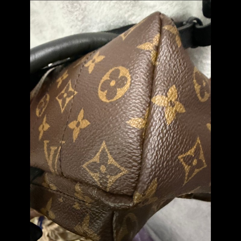 LOUIS VUITTON PalmSprings小書包小號老花肩背包-8