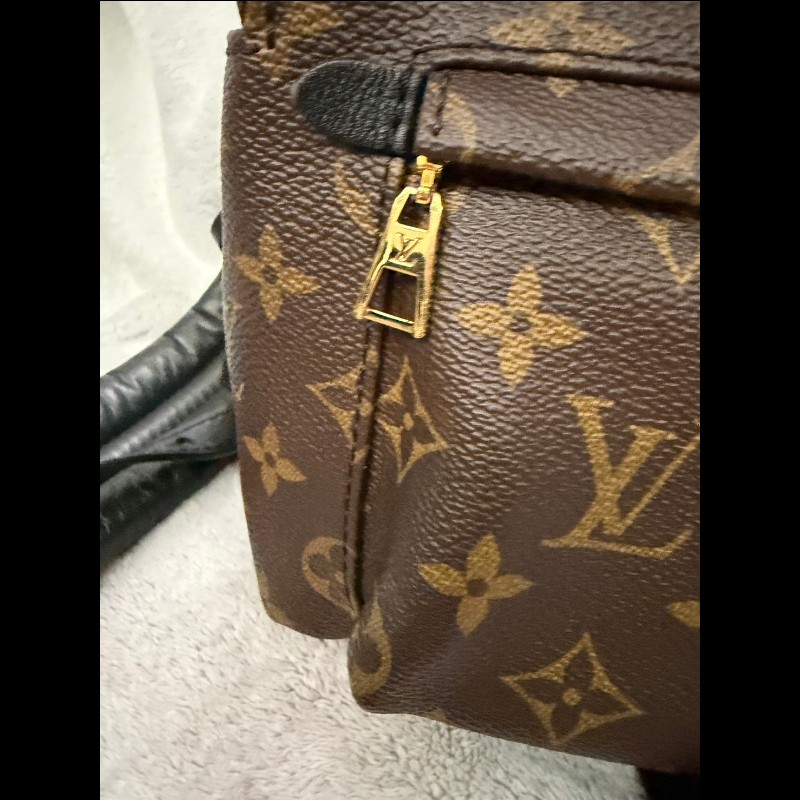 LOUIS VUITTON PalmSprings小書包小號老花肩背包-10