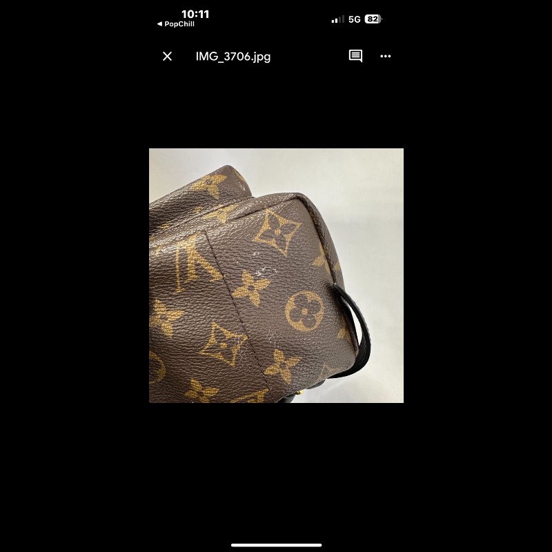 LOUIS VUITTON PalmSprings小書包小號老花肩背包-11