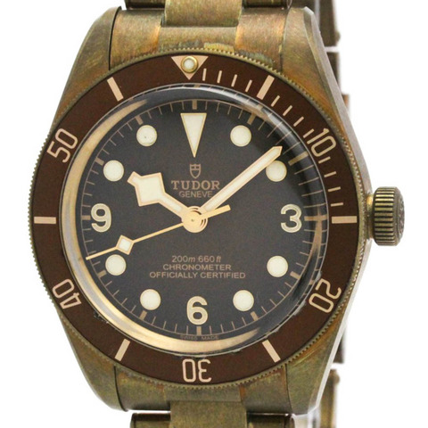 帝舵碧灣58型精鋼自動男士腕錶79012