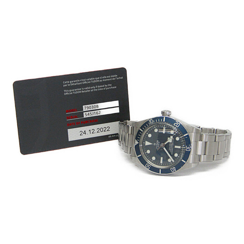 帝舵碧灣系列58型精鋼自動男士腕錶79030B拋光款-5