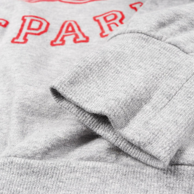 CELINE Triomphe Logo Sweat Pullover 棉羊絨灰色 #M 二手女款-5