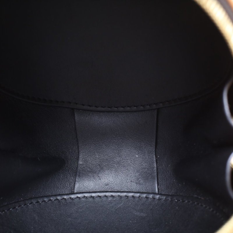 LOUIS VUITTON 老花PVC2018秀款限定恐龍蛋肩背包-2