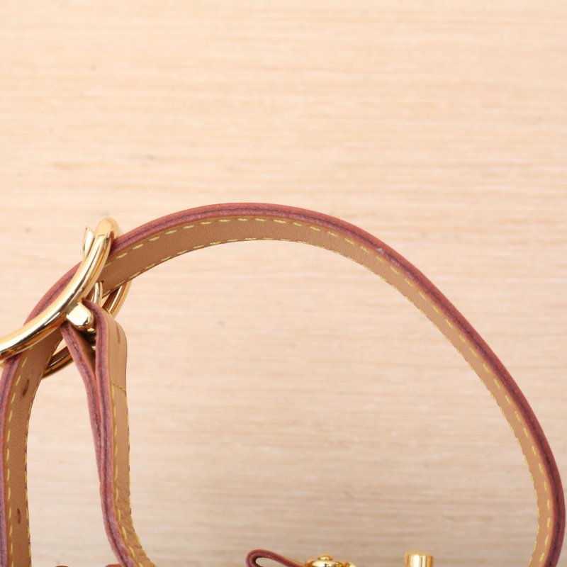 LOUIS VUITTON PETITEBOITECHAPEAU硬圓餅中號17.5老花PVC2019肩背包-2