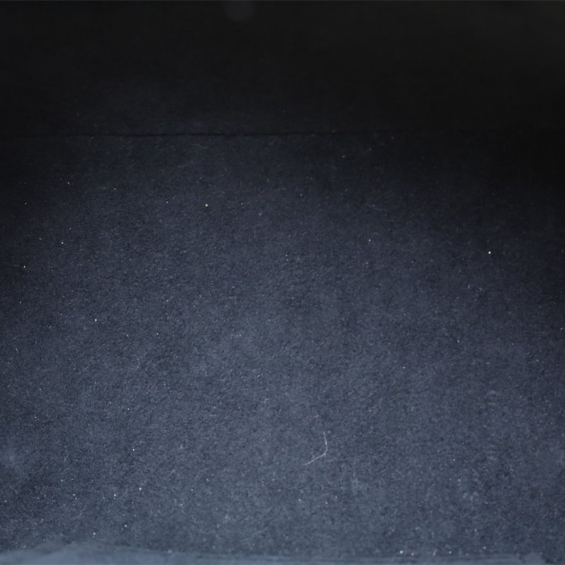 LOUIS VUITTON Vanity化妝包小號19老花PVC金扣晶片肩背包-3