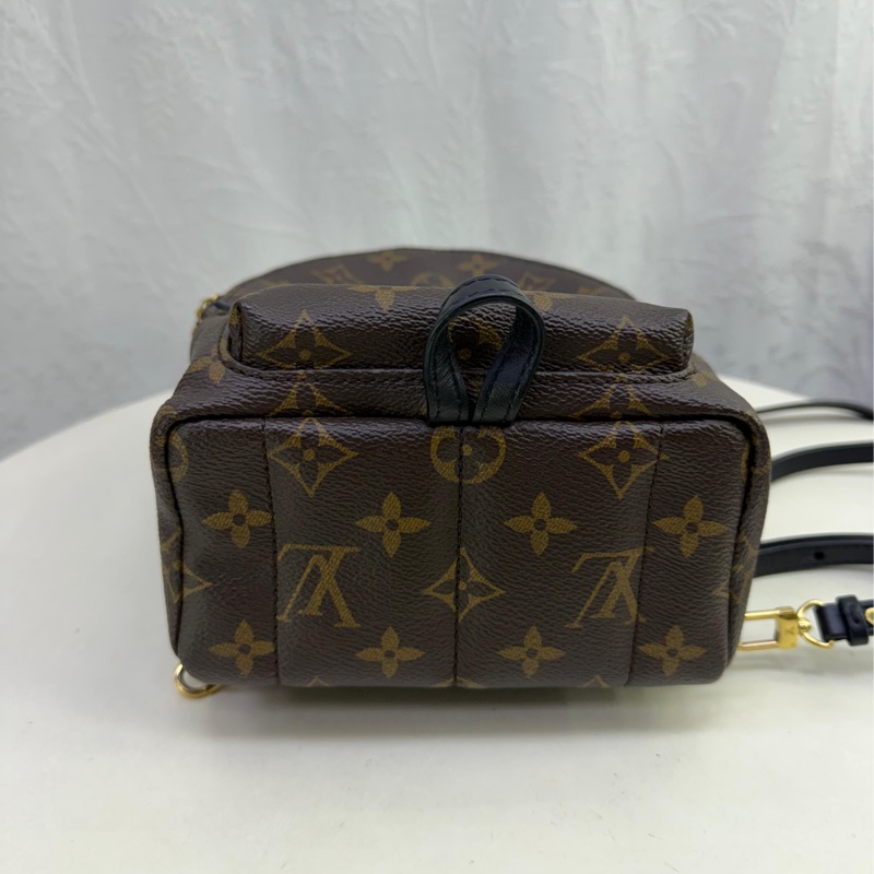 LOUIS VUITTON Monogram Palm Spring Mini金扣背包-1