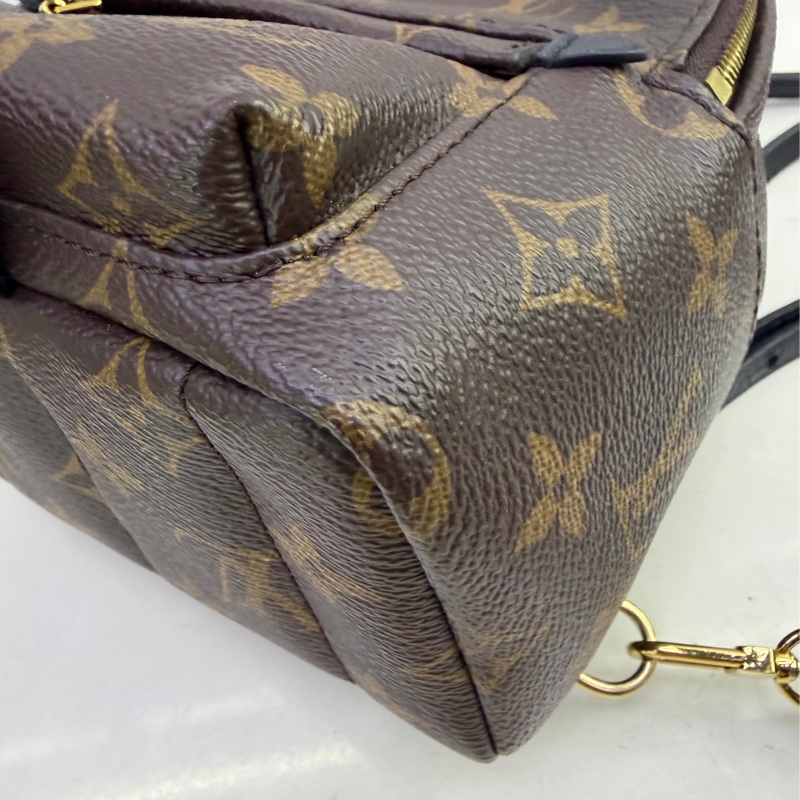 LOUIS VUITTON Monogram Palm Spring Mini金扣背包-2
