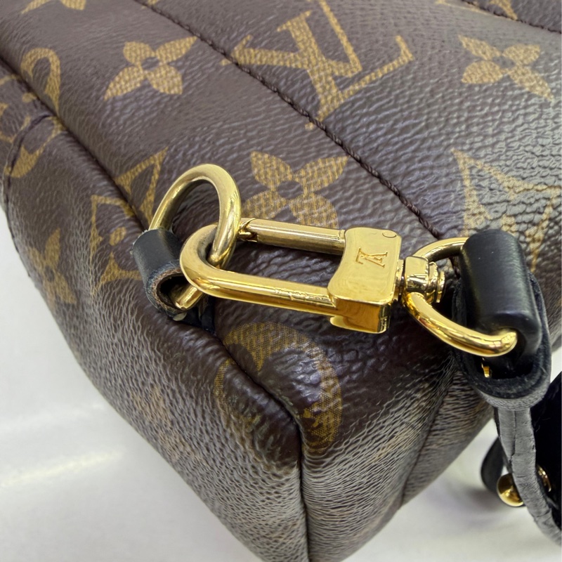 LOUIS VUITTON Monogram Palm Spring Mini金扣背包-3
