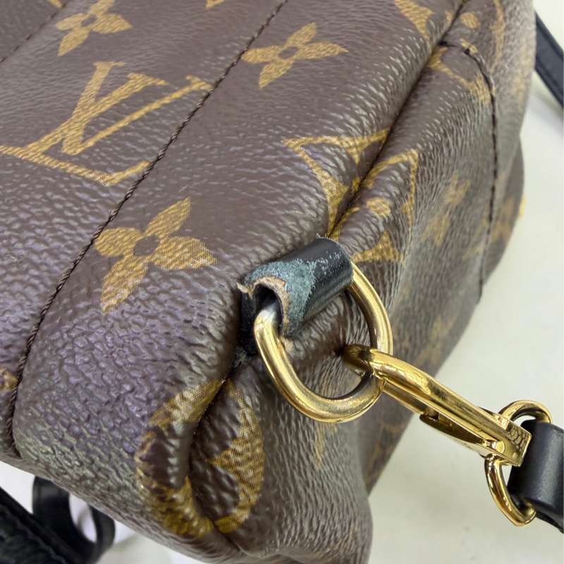 LOUIS VUITTON Monogram Palm Spring Mini金扣背包-4