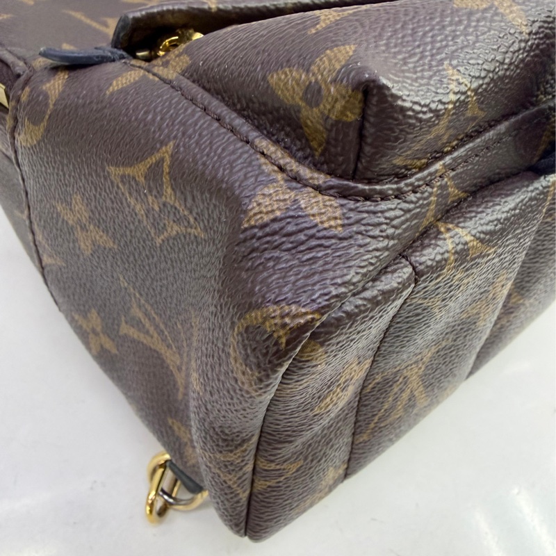 LOUIS VUITTON Monogram Palm Spring Mini金扣背包-5