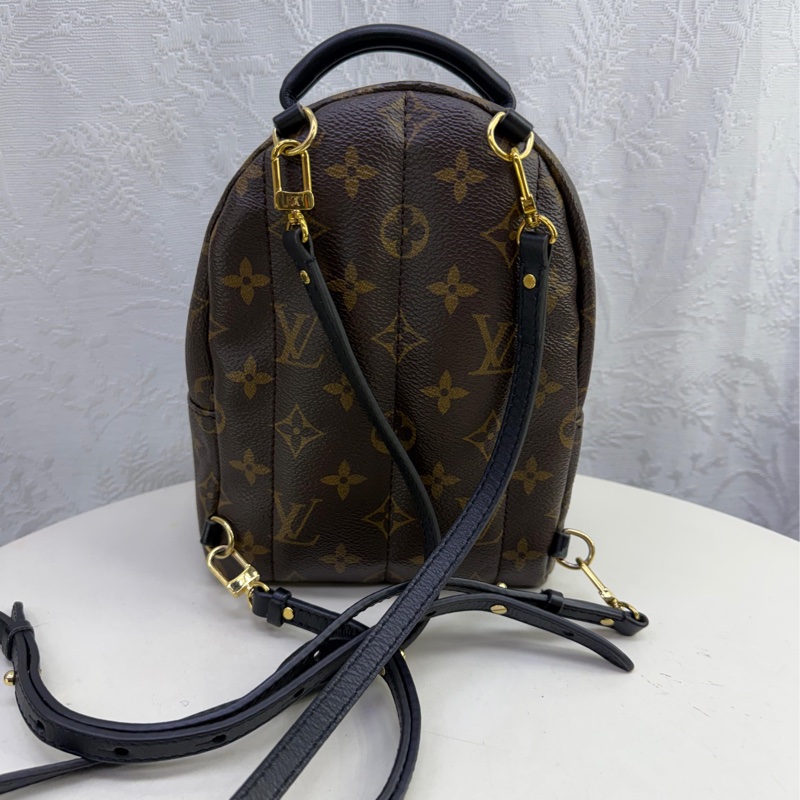 LOUIS VUITTON Monogram Palm Spring Mini金扣背包-6