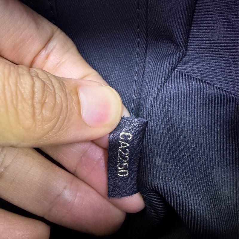 LOUIS VUITTON Monogram Palm Spring Mini金扣背包-11