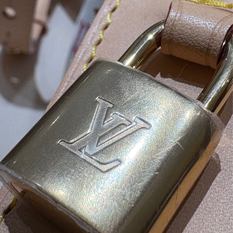 Louis Vuitton x TM ALL IN BB LV 村上隆白三彩水桶包-2-12