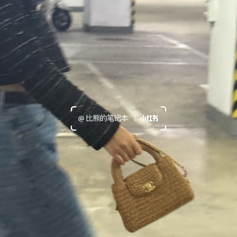 Chanel 26P 草編Kelly包-3