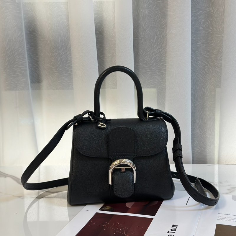 Delvaux Brilliant mini - 黑銀-0