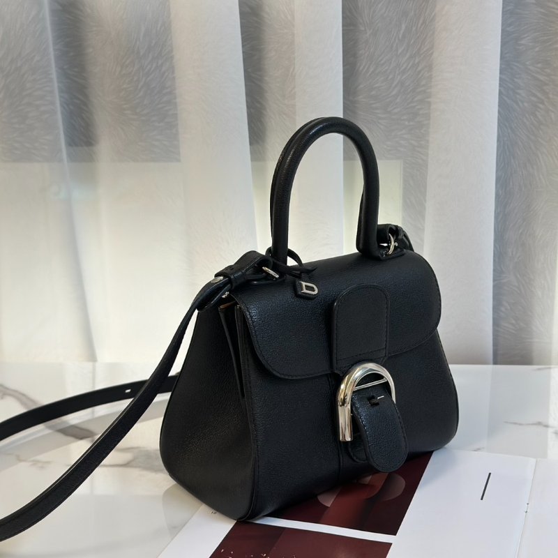 Delvaux Brilliant mini - 黑銀-2