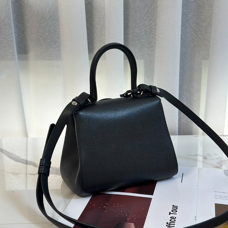 Delvaux Brilliant mini - 黑銀-5