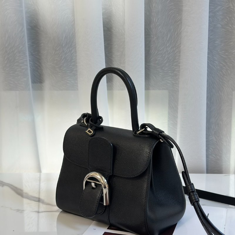 Delvaux Brilliant mini - 黑銀-6