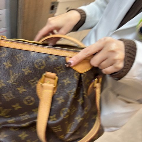 Louis Vuitton 手提包斜背包 30*25*17-3