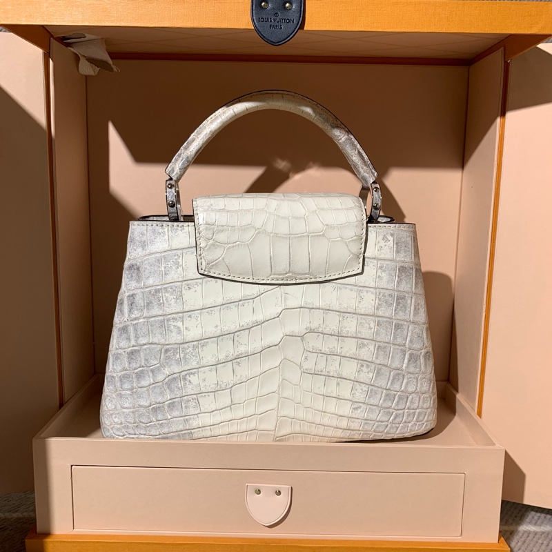 LV 路易威登Capucines 喜馬拉雅原色鰐魚皮小號手提 單肩包-1