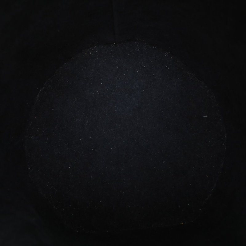 LOUIS VUITTON CANNES圓桶包拼色PVC2020老花肩背包-2