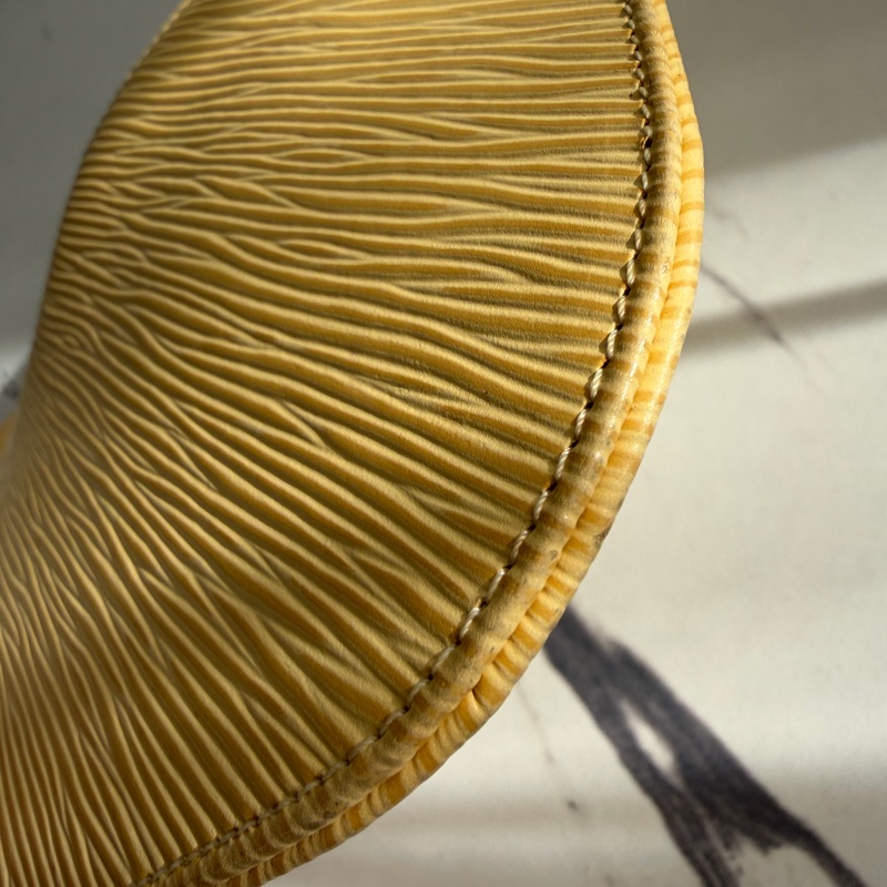 lv米黃色EPI小肩背包🐥晚宴包、交換禮物-8