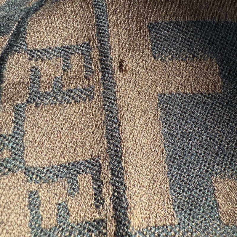 特價優惠🉐 🌸 【精品圍巾|Fendi FF 大格紋雙色長圍巾】-11