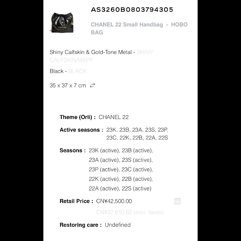 CHANEL 22 bag. 黑金小號-16