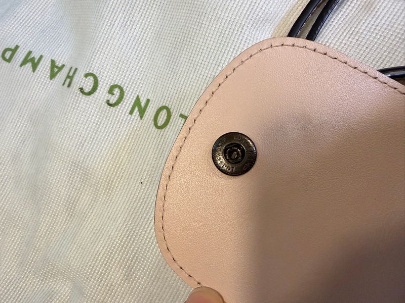 極新 歐洲專櫃購入正品 Longchamp LE PLIAGE XTRA 手拿包 XS 裸色皮革手拿包 斜背包 迷你水餃包 裸粉色-24