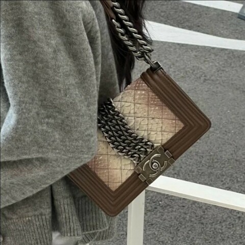 Chanel香奈兒 漸變蛇紋拼棕皮Leboy 小號20cm