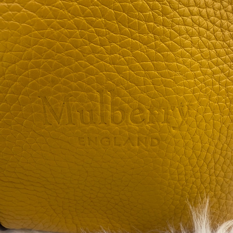 Mulberry Handbag-2