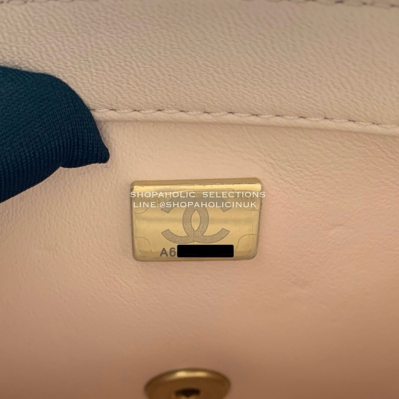 Chanel山茶花復古金調節鏈淺膚色羊皮方胖AS4040-10