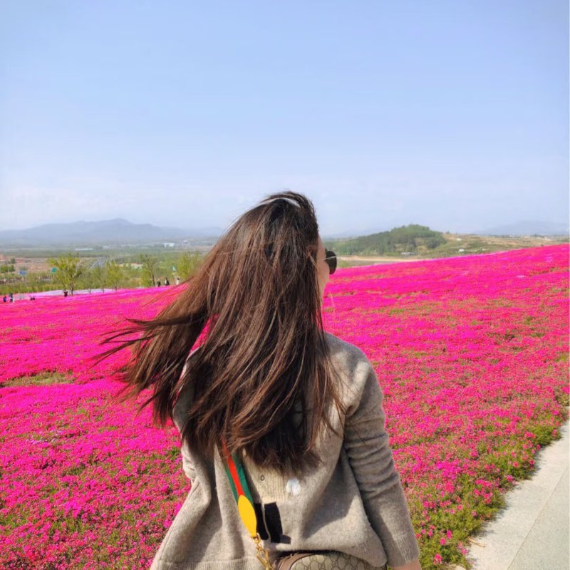 GUCCI Superme虎頭老花相機包-10