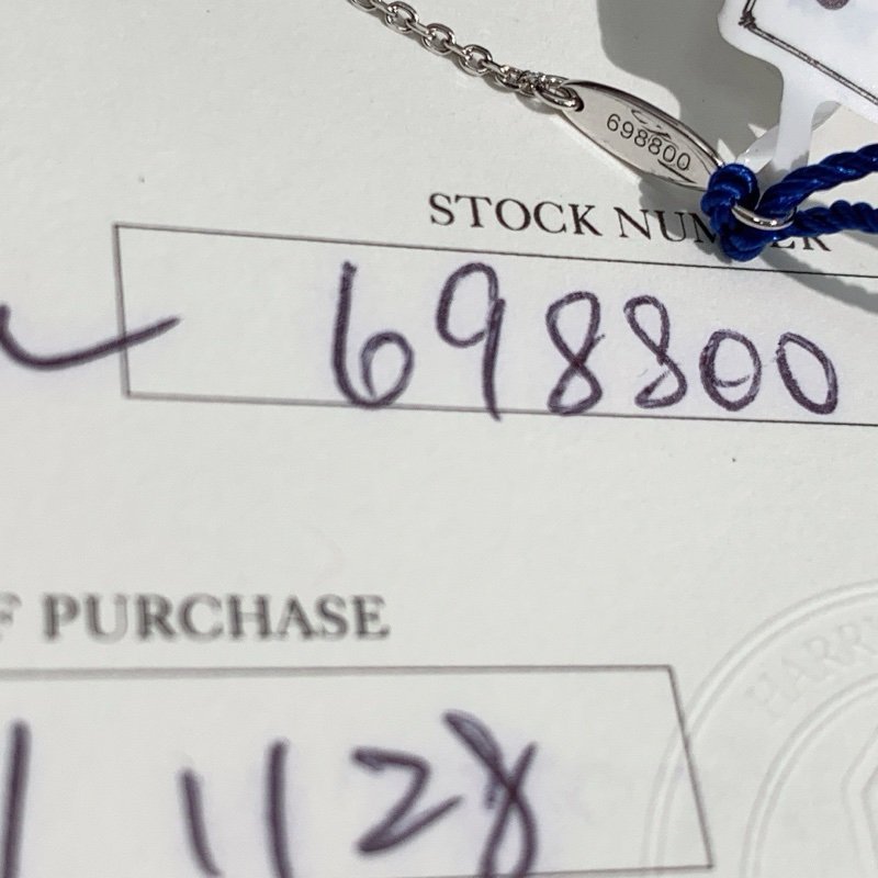 HW海瑞温斯顿香水瓶项链-5