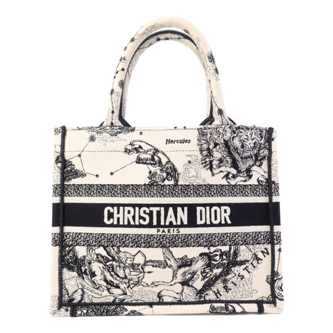 Dior 帆布Book Tote Small手挽袋