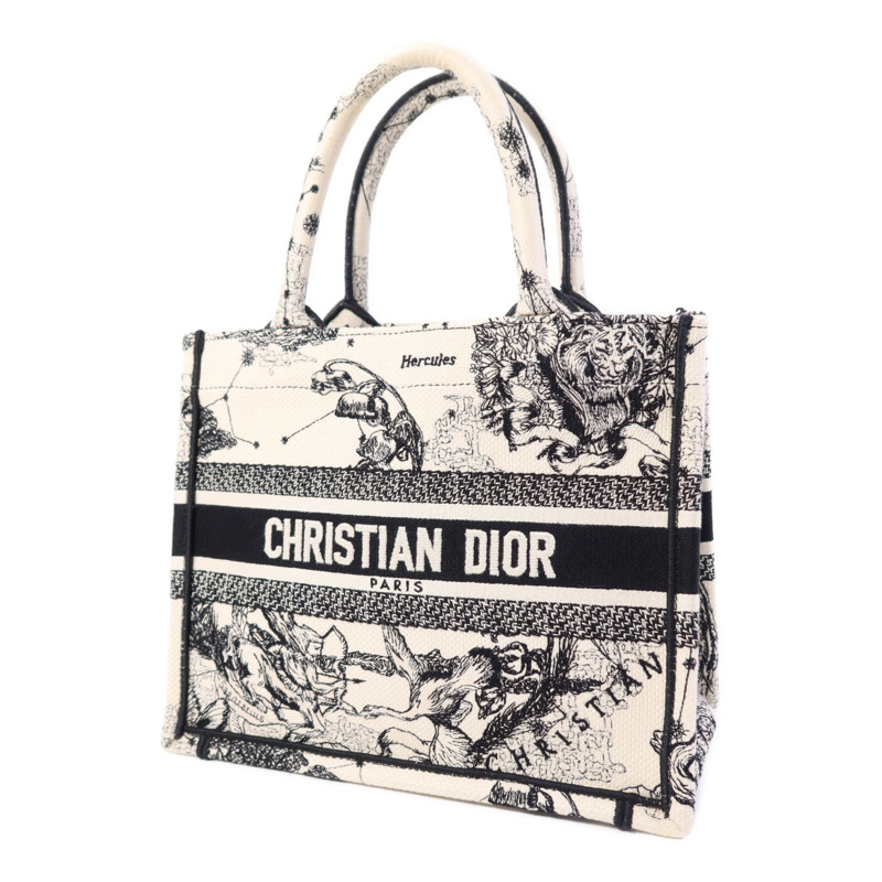 Dior 帆布Book Tote Small手挽袋-2