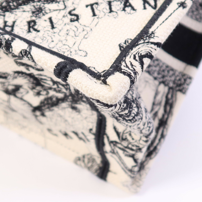 Dior 帆布Book Tote Small手挽袋-4