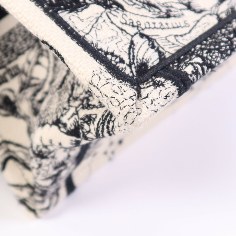 Dior 帆布Book Tote Small手挽袋-5