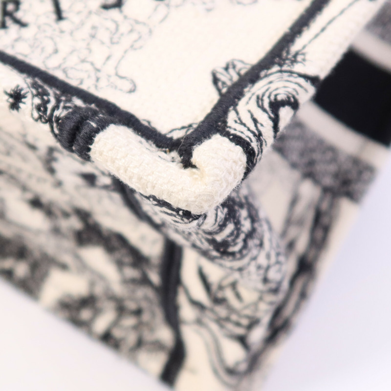 Dior 帆布Book Tote Small手挽袋-6