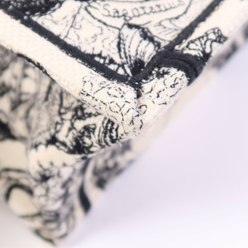 Dior 帆布Book Tote Small手挽袋-7