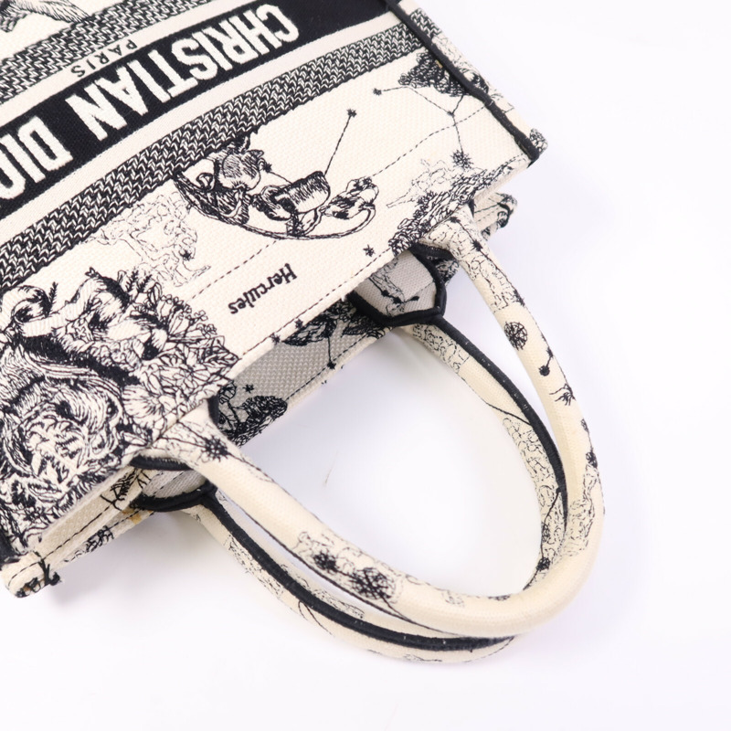 Dior 帆布Book Tote Small手挽袋-8