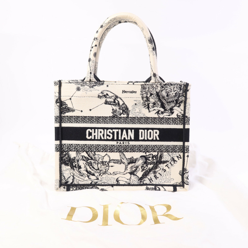 Dior 帆布Book Tote Small手挽袋-9