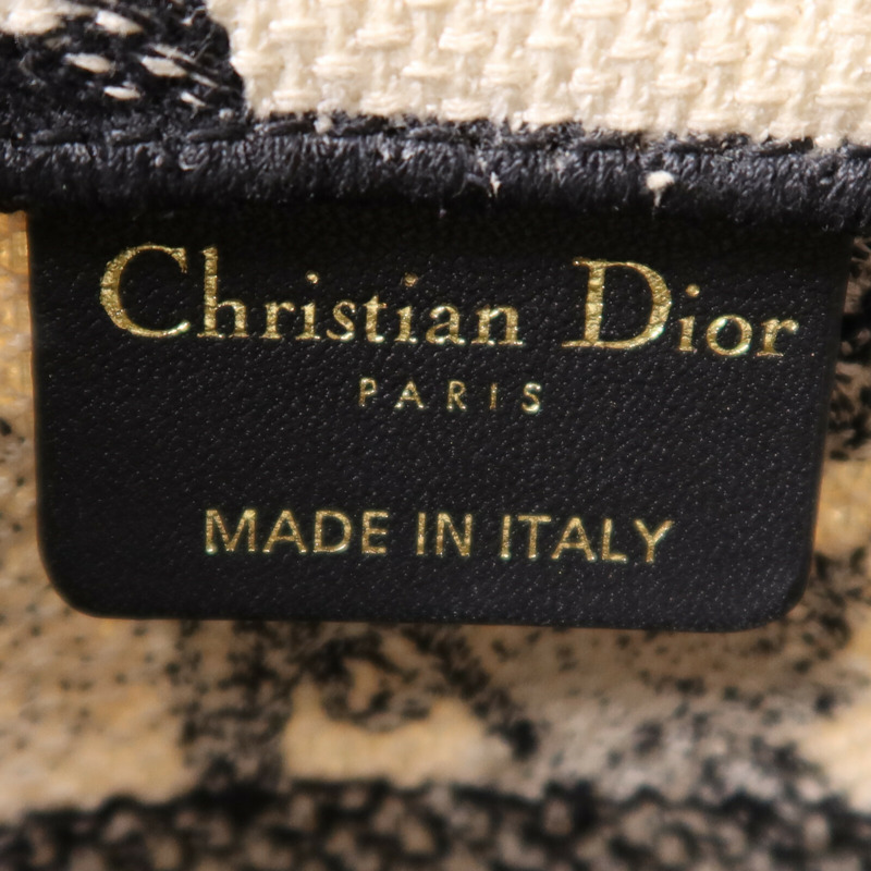Dior 帆布Book Tote Small手挽袋-11