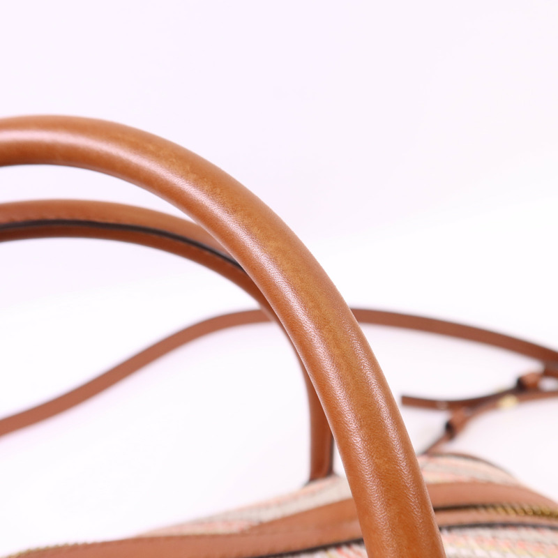 Delvaux 帆布/皮革Cool Box MM金扣手挽肩背兩用袋-22