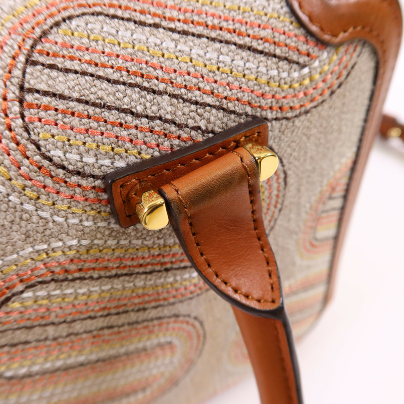 Delvaux 帆布/皮革Cool Box MM金扣手挽肩背兩用袋-23