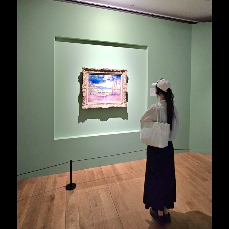 白色Goyard Artois PM 小號拉鍊肩背托特包 黃色蝴蝶Logo-13