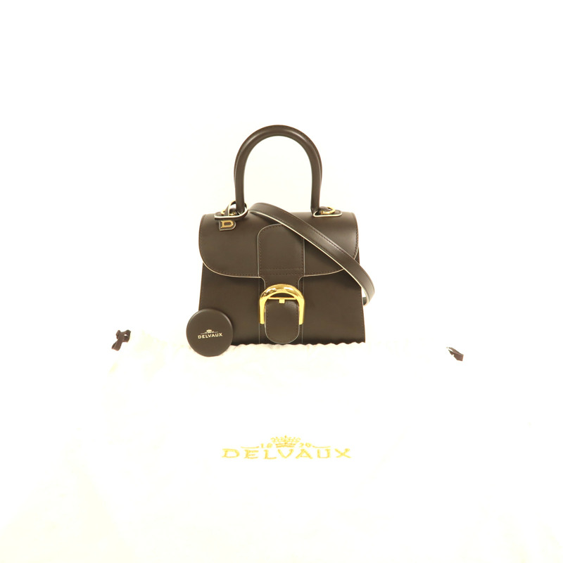 Delvaux 牛皮皮革Brillant Mini金扣手挽肩背兩用袋-8