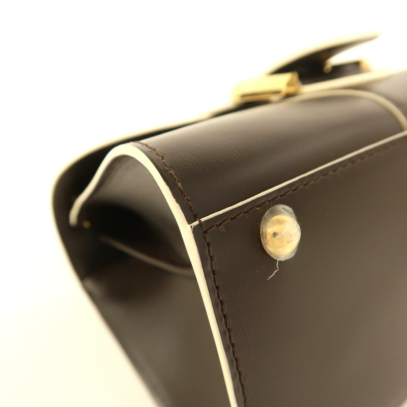 Delvaux 牛皮皮革Brillant Mini金扣手挽肩背兩用袋-10